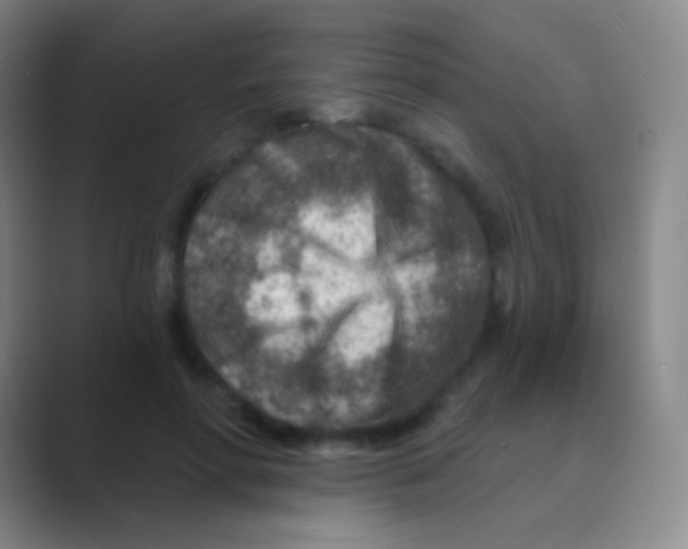 X0000088730598200706282125