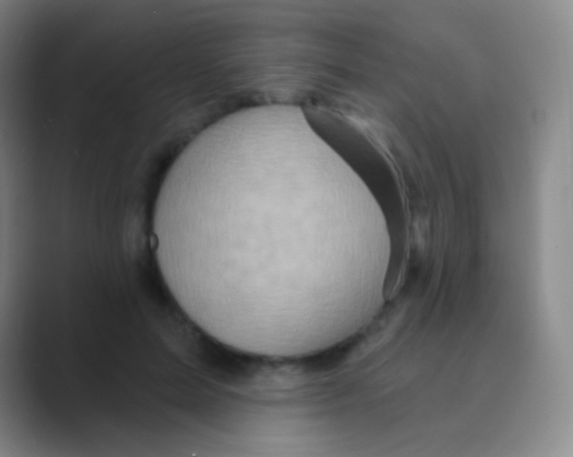 X0000088730599200706282125