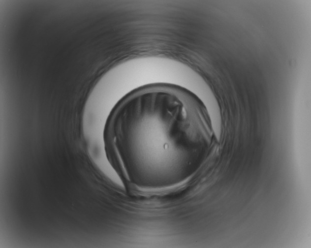 X0000088730600200706282125