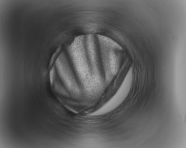 X0000088730601200706282125