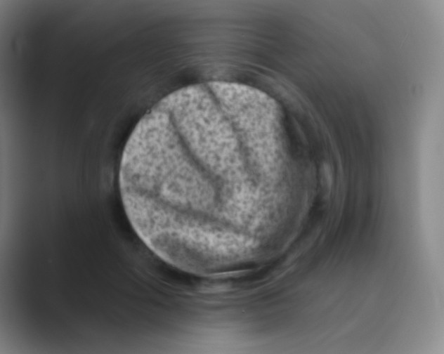 X0000088730602200706282125