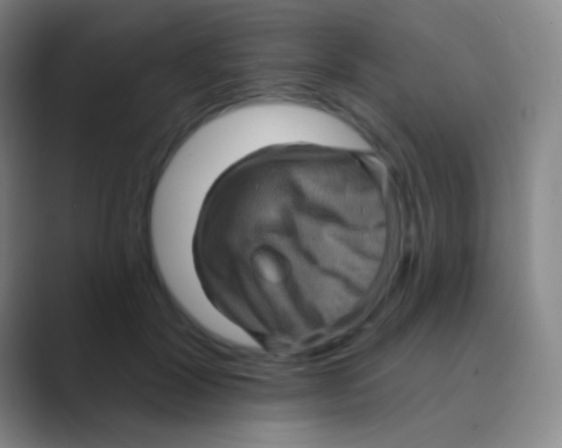 X0000088730604200706282125