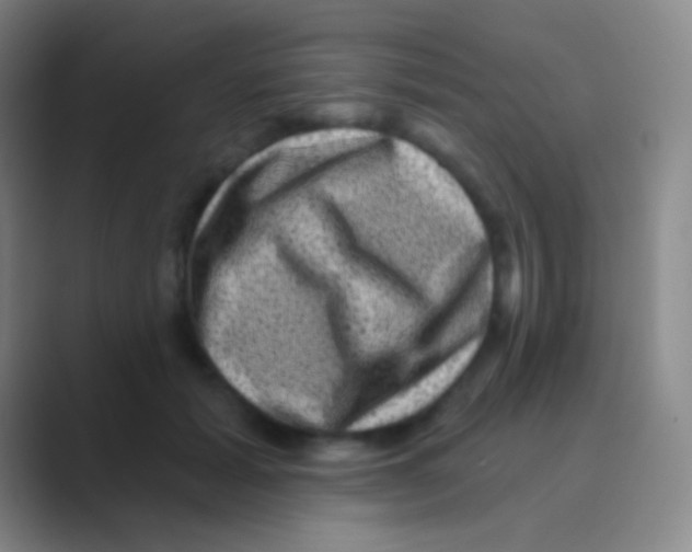 X0000088730605200706282125