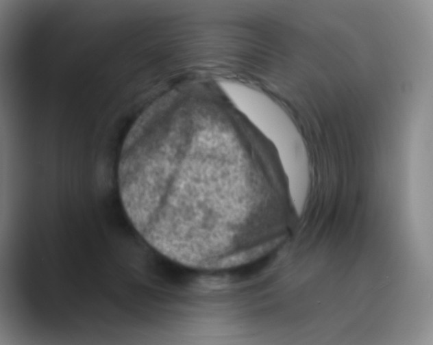 X0000088730606200706282125