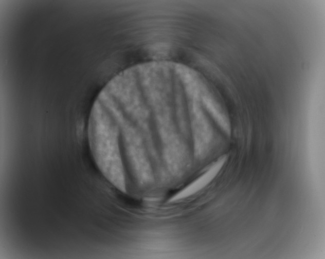 X0000088730610200706282125