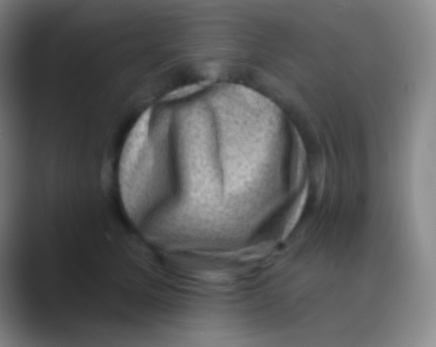 X0000088730611200706282125