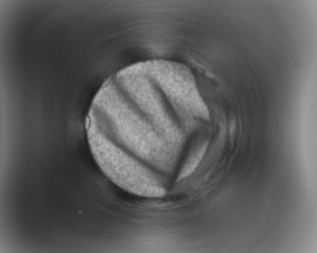 X0000088730613200706282125