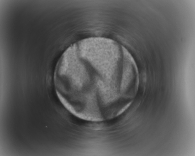 X0000088730615200706282125