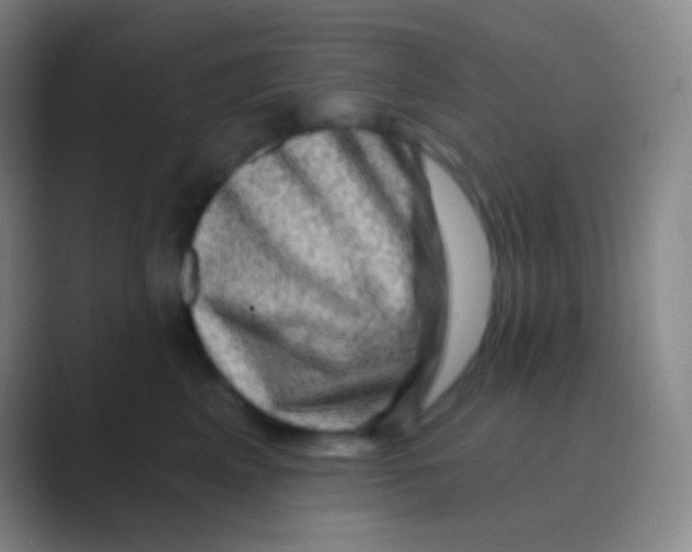 X0000088730617200706282125