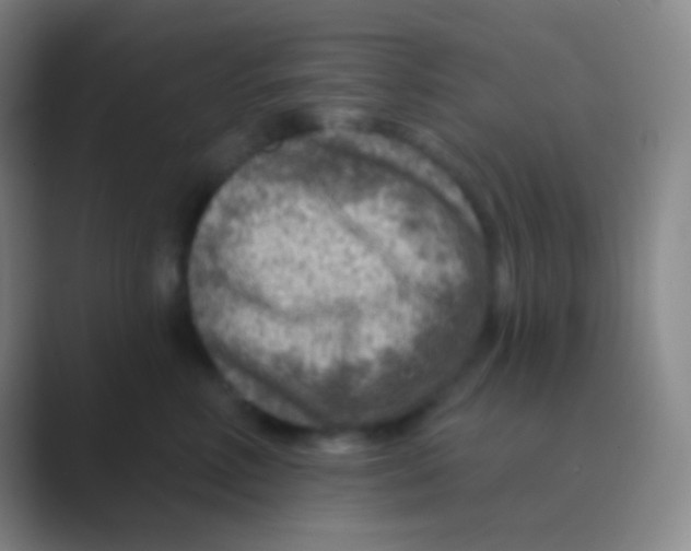 X0000088730618200706282125