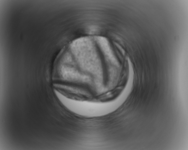 X0000088730620200706282125