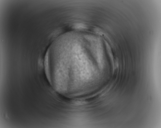 X0000088730621200706282125