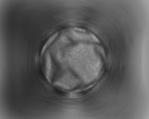 X0000088730623200706282125