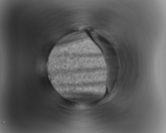 X0000088730624200706282125