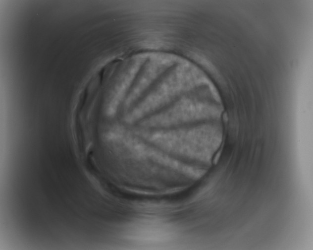 X0000088730626200706282124