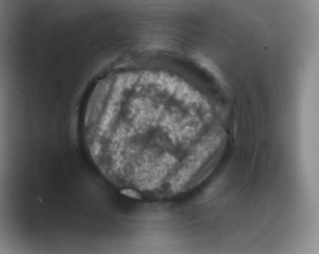 X0000088730627200706282124