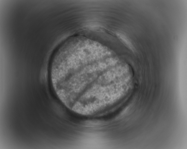 X0000088730630200706282124