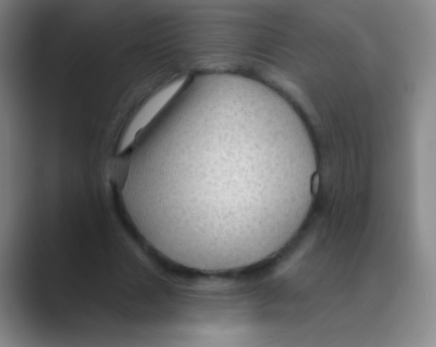 X0000088730633200706282124