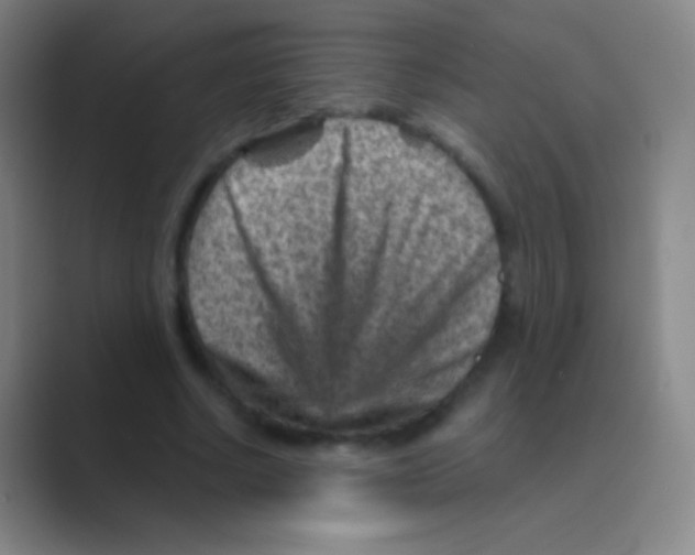 X0000088730634200706282124