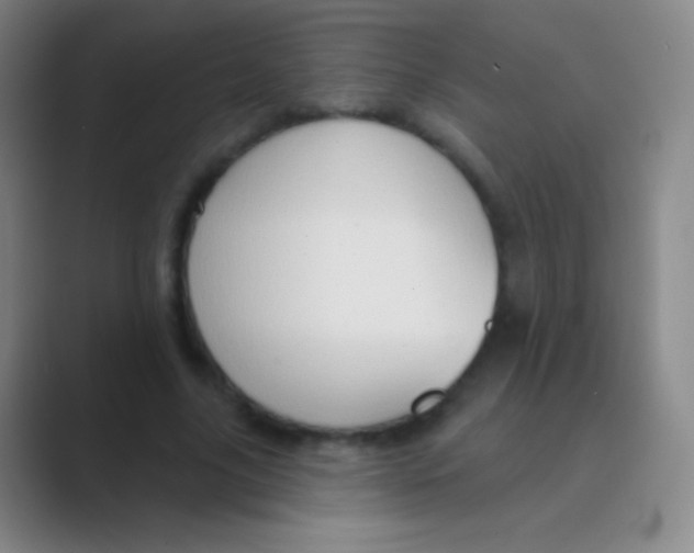 X0000088730635200706282124