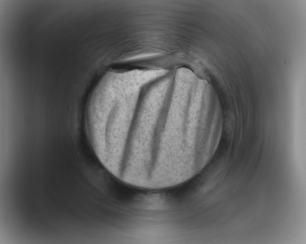 X0000088730639200706282125