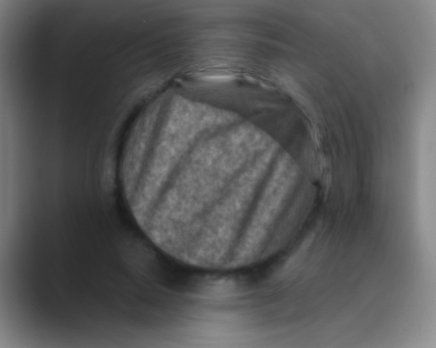 X0000088730640200706282125