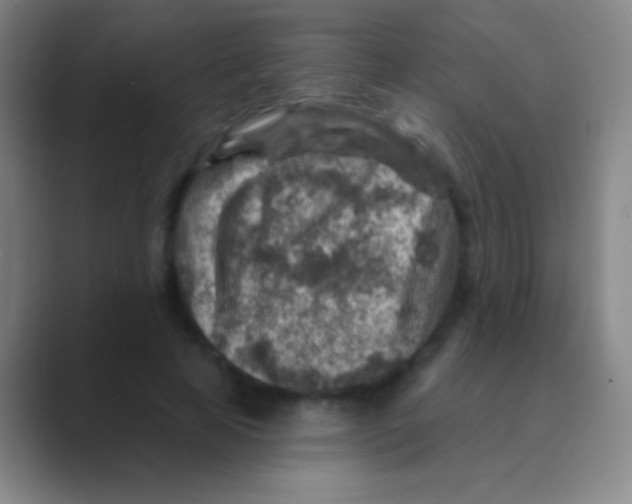 X0000088730641200706282125