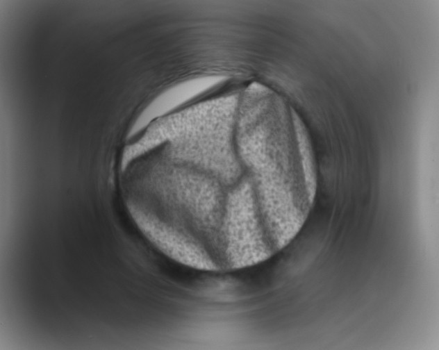 X0000088730642200706282125