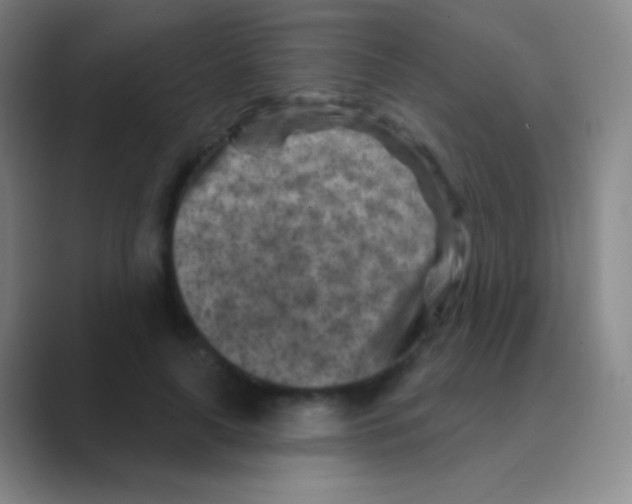 X0000088730643200706282125