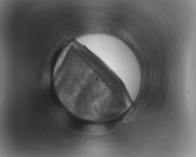 X0000088730644200706282125