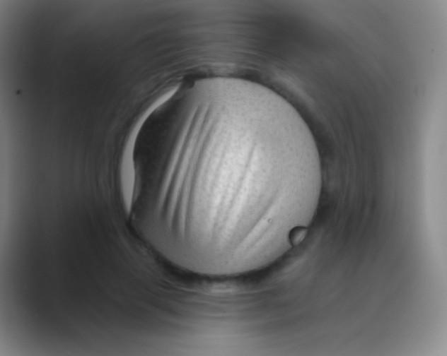 X0000088730645200706282125