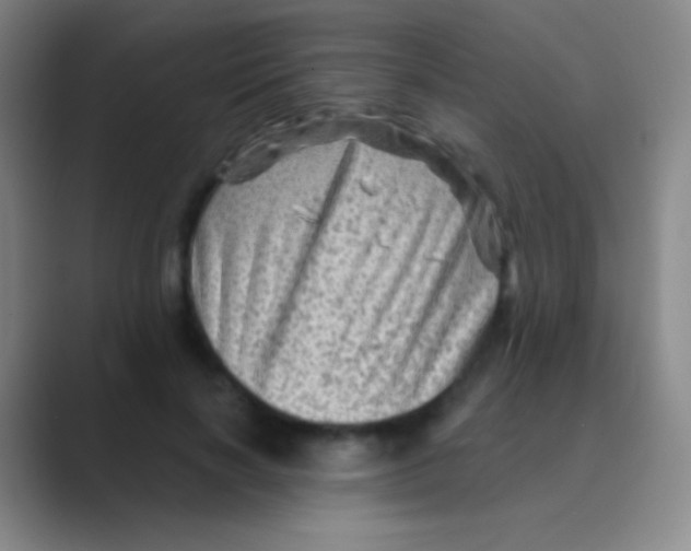 X0000088730646200706282125