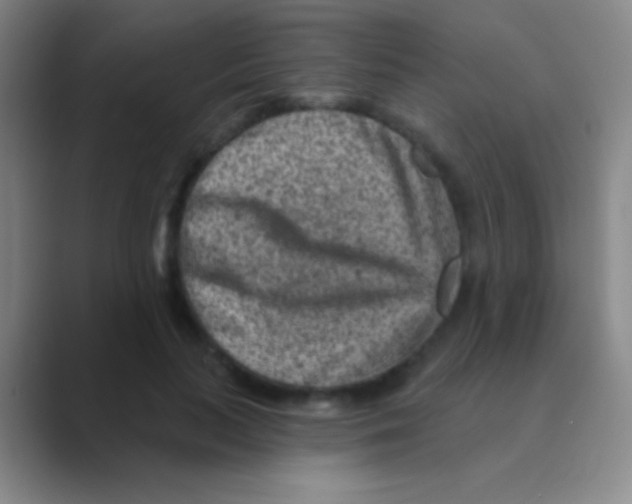 X0000088730647200706282125