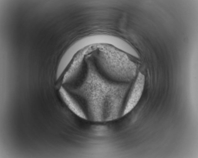 X0000088730649200706282125