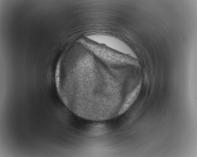 X0000088730651200706282125