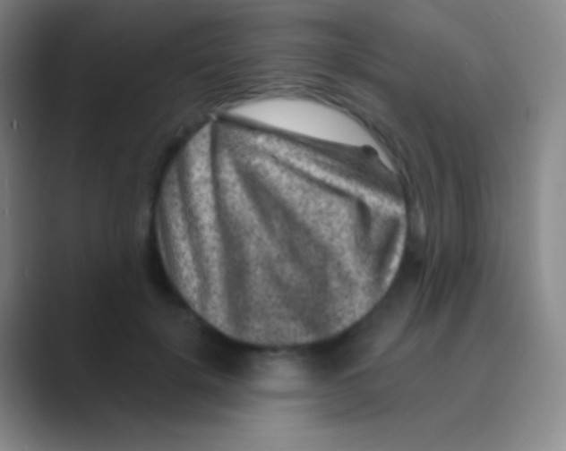 X0000088730652200706282125