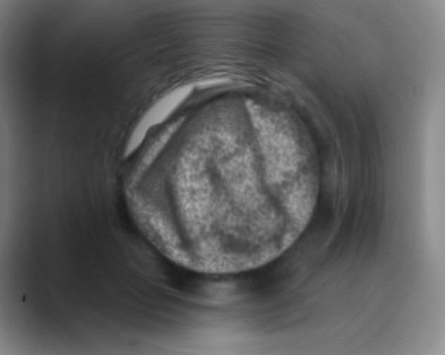 X0000088730653200706282125