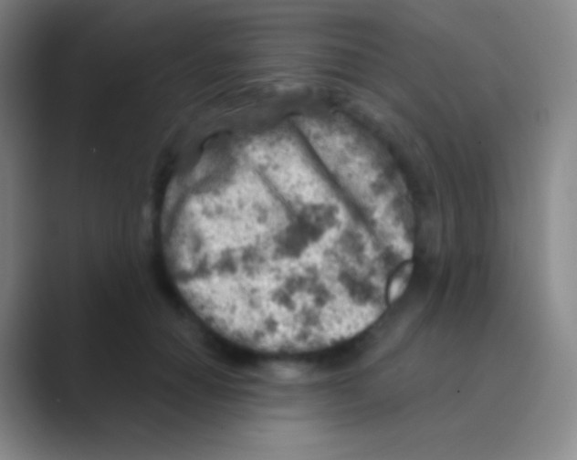 X0000088730654200706282125