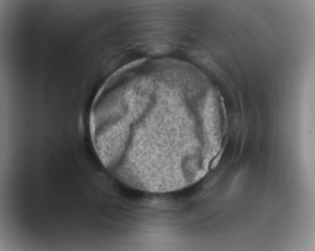 X0000088730655200706282125