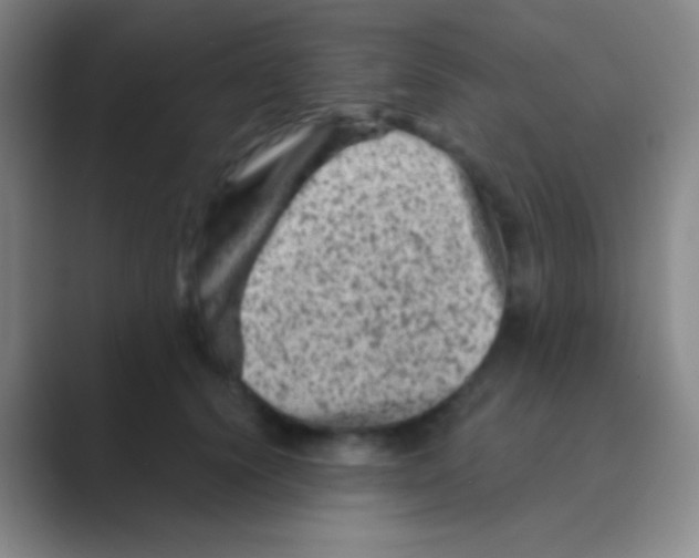 X0000088730656200706282125