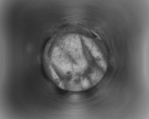 X0000088730658200706282125