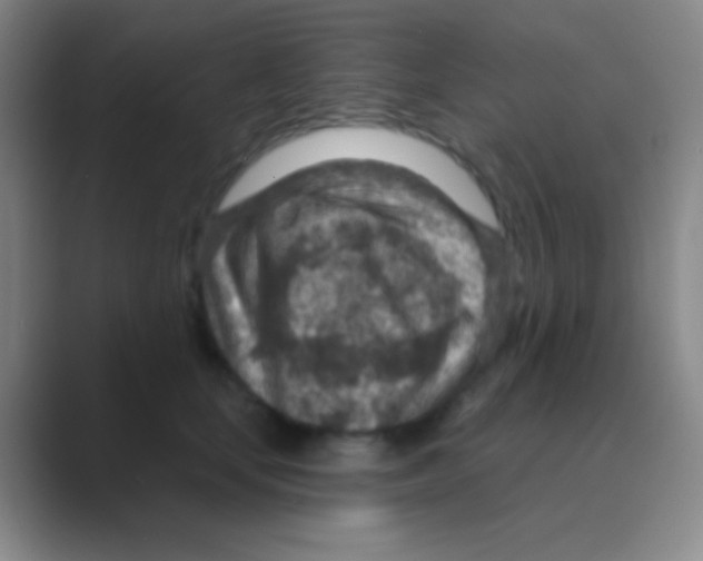 X0000088730659200706282125