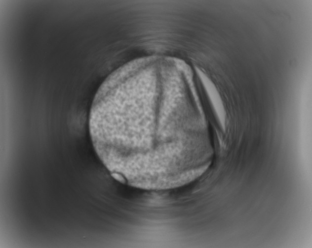 X0000088730660200706282125