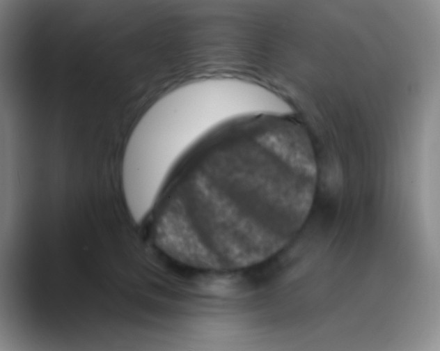 X0000088730661200706282125