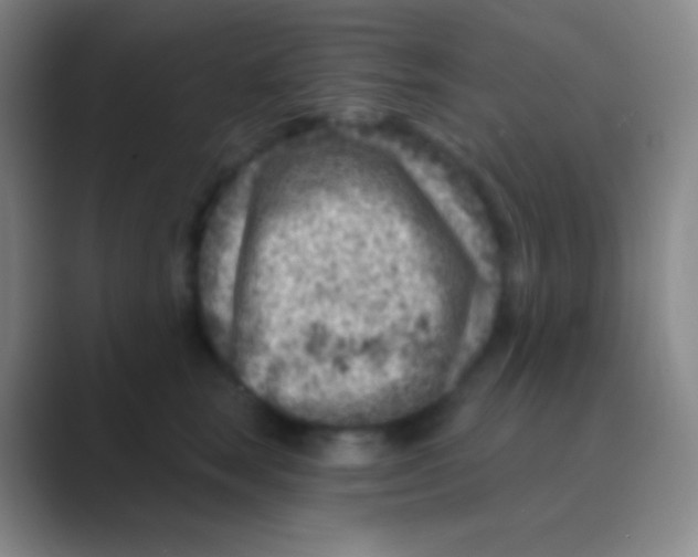 X0000088730663200706282125