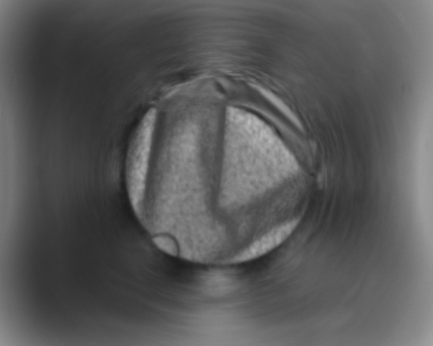 X0000088730664200706282125