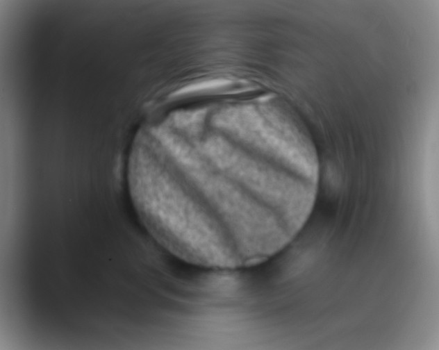 X0000088730668200706282125