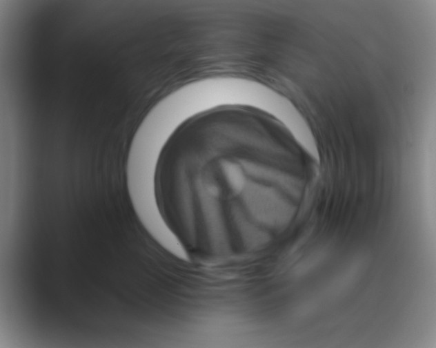 X0000088730669200706282125