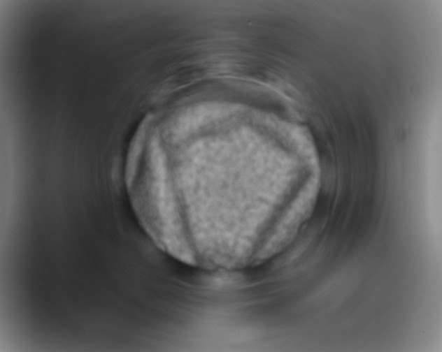 X0000088730670200706282125