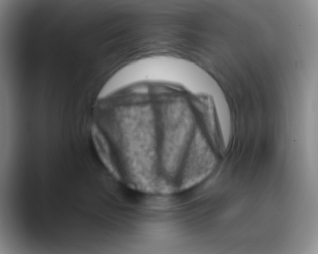 X0000088730671200706282125